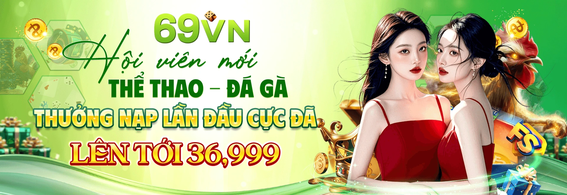 Hình ảnh giới thiệu thương hiệu 69VN